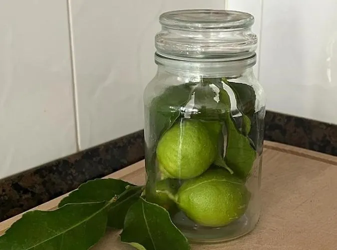 Villamerceditas Holiday home *